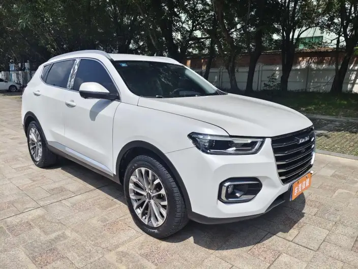 Haval H6 2020 Model 1.5GDIT Automatic Platinum Champion Edition – фото 3