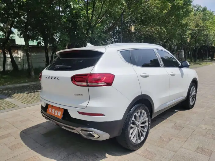 Haval H6 2020 Model 1.5GDIT Automatic Platinum Champion Edition – фото 6