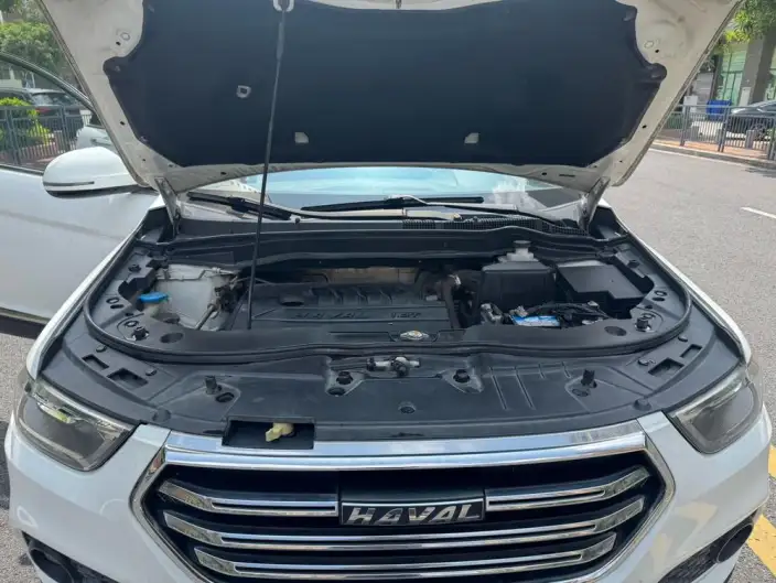 Haval H6 2020 Model 1.5GDIT Automatic Platinum Champion Edition – фото 10