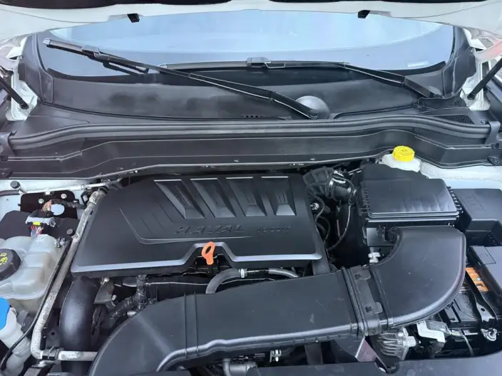 Haval H6 2021 Model Second generation 1.5T Automatic Champion Edition – фото 7