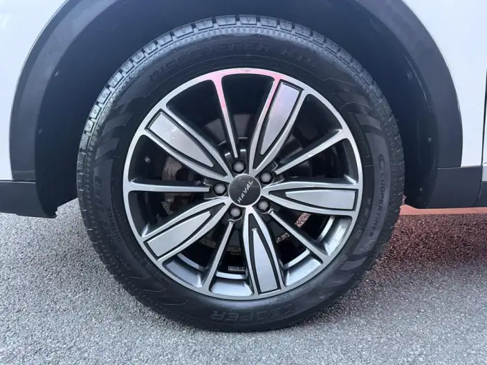 Haval H6 2021 Model Second generation 1.5T Automatic Champion Edition – фото 8
