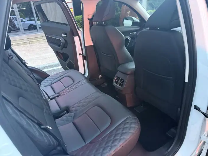 Haval H6 2021 Model Second generation 1.5T Automatic Champion Edition – фото 28