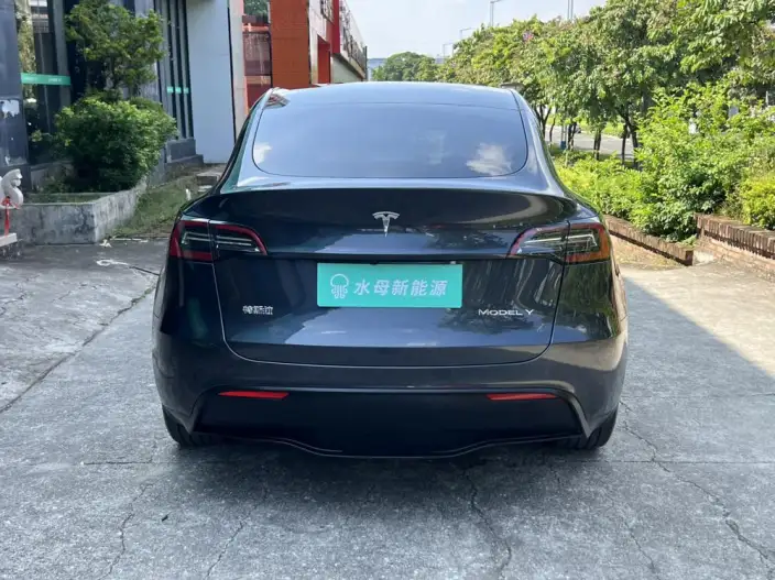 Model Y 2024 Model Rear-wheel drive version – фото 6