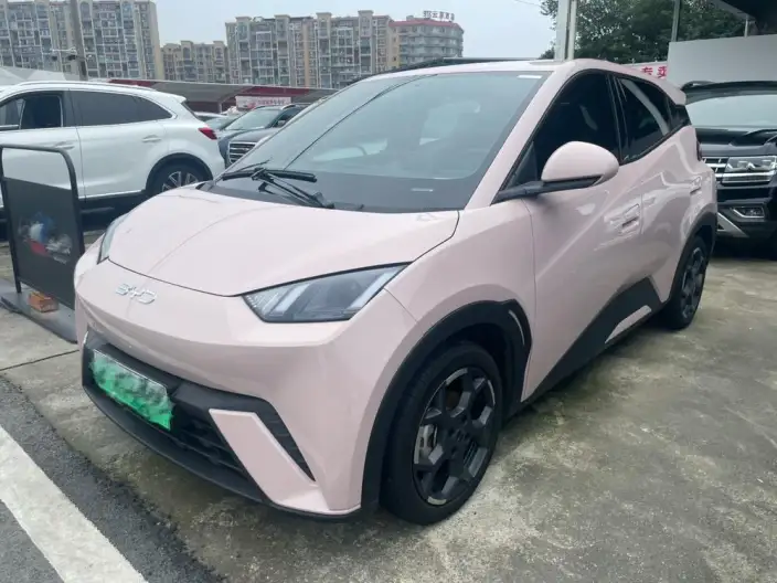 BYD Seagull 2025 Model 305KM Free Edition – фото 1