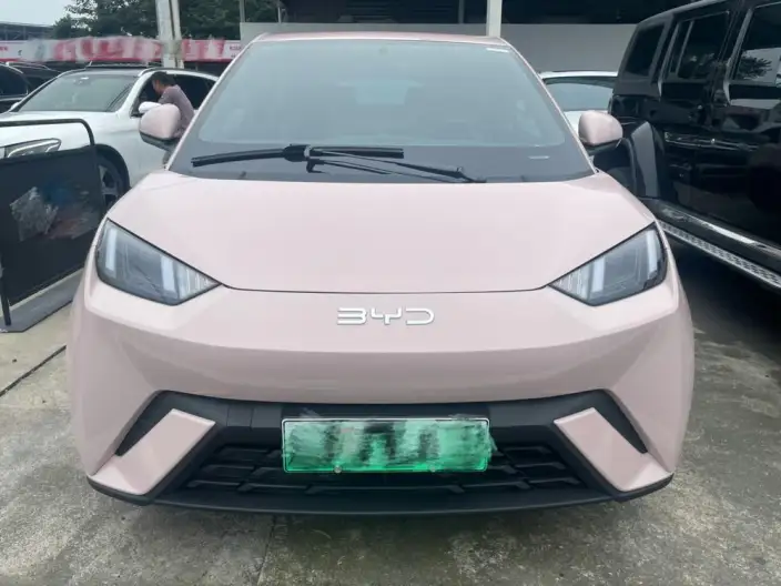 BYD Seagull 2025 Model 305KM Free Edition – фото 2