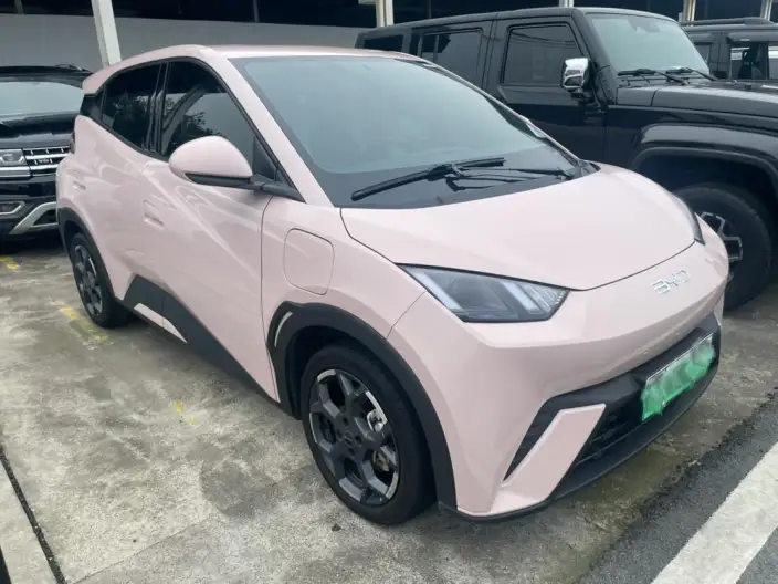 BYD Seagull 2025 Model 305KM Free Edition – фото 3