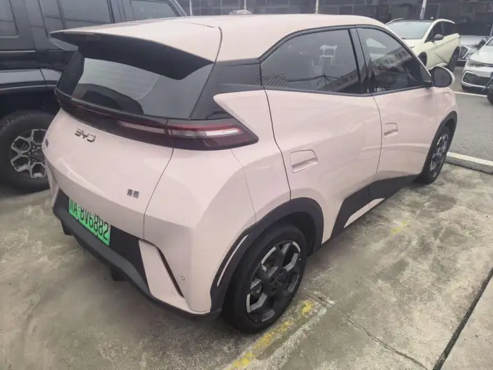 BYD Seagull 2025 Model 305KM Free Edition – фото 6