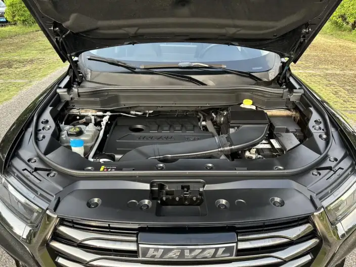 Haval H6 2021 Model Guo Trendy Edition 1.5T Automatic Champion Edition – фото 8