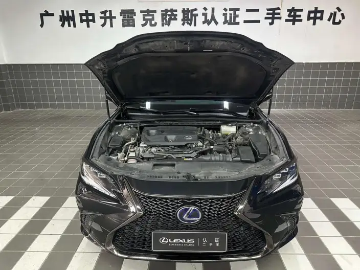 Lexus ES 2021 Model 300h F SPORT – фото 8