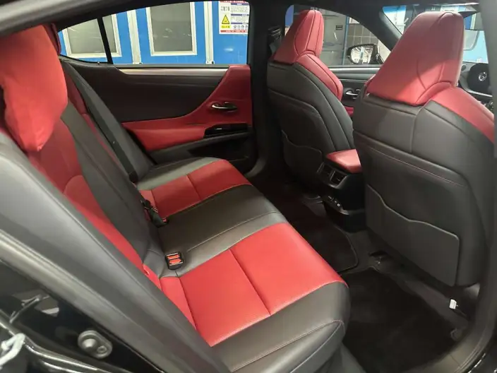 Lexus ES 2021 Model 300h F SPORT – фото 22