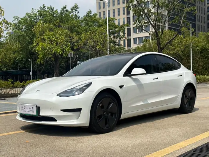 Model 3 2022 Model Rear-wheel drive version – фото 1
