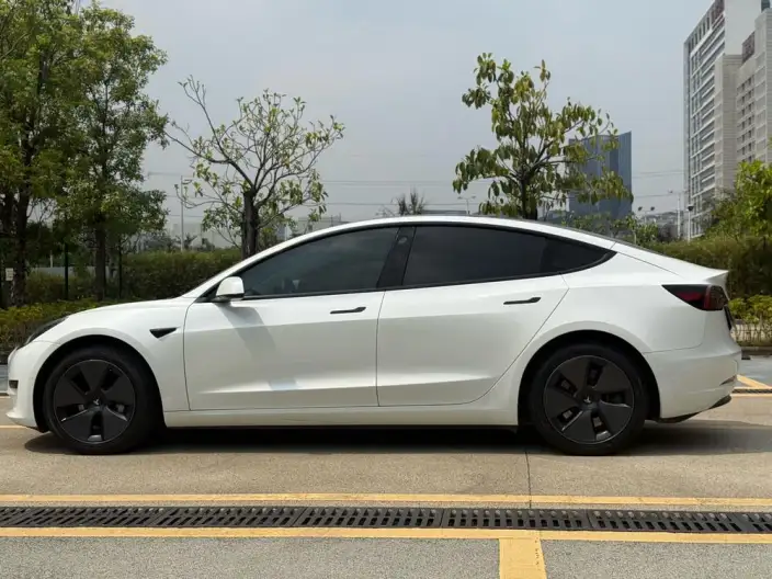 Model 3 2022 Model Rear-wheel drive version – фото 4