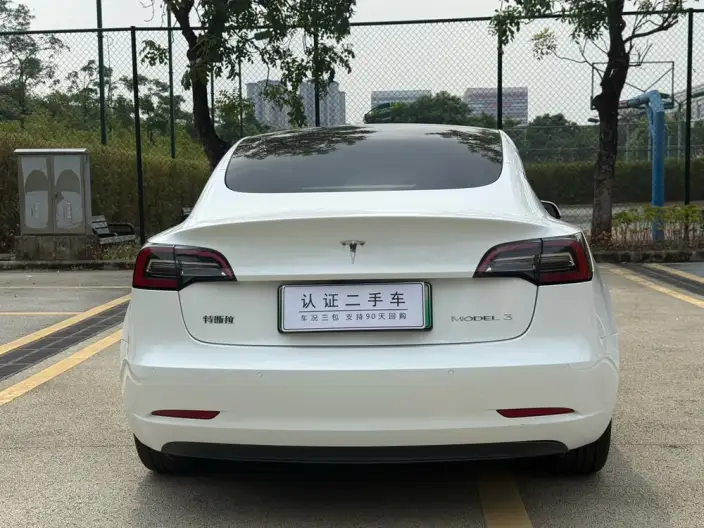 Model 3 2022 Model Rear-wheel drive version – фото 6