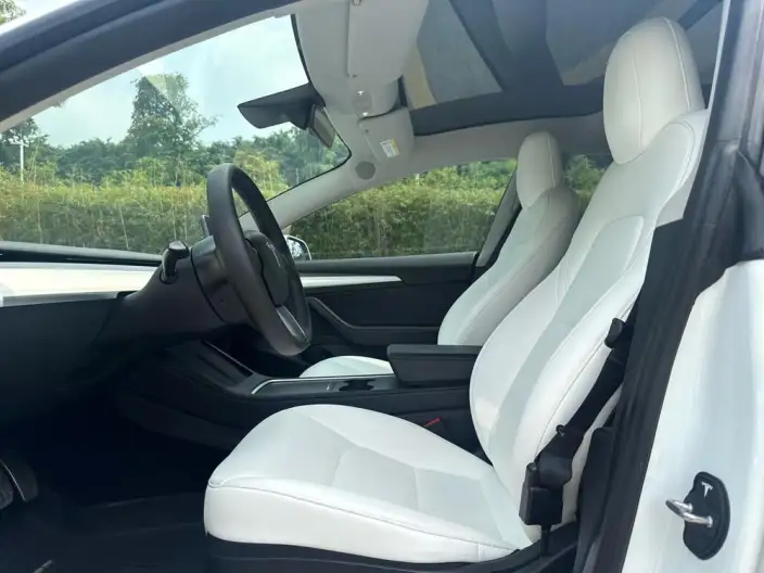 Model 3 2022 Model Rear-wheel drive version – фото 15