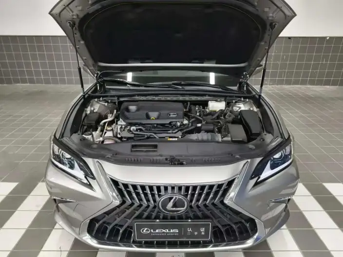 Lexus ES 2022 Model 300h Superior Edition – фото 5