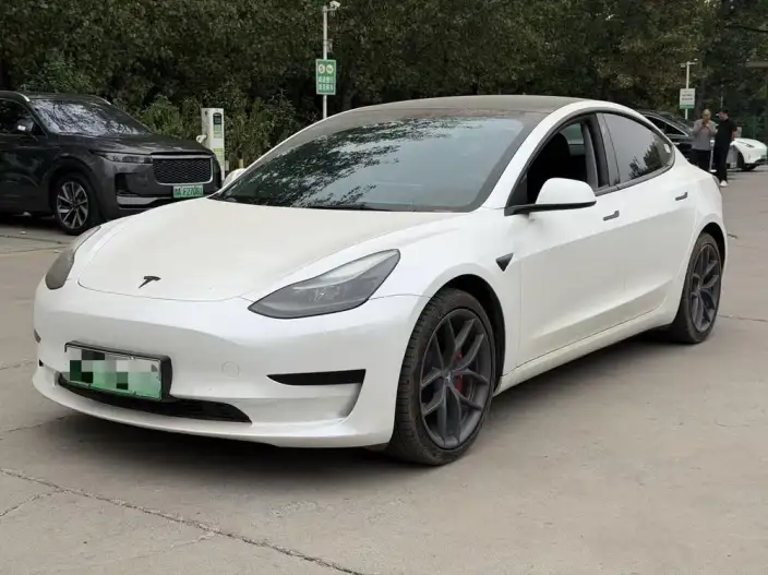 Model 3 2022 Model Rear-wheel drive version – фото 1