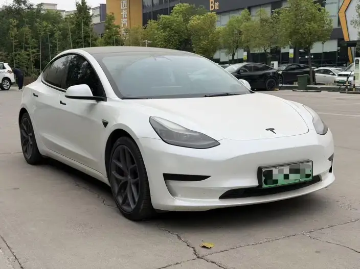 Model 3 2022 Model Rear-wheel drive version – фото 3