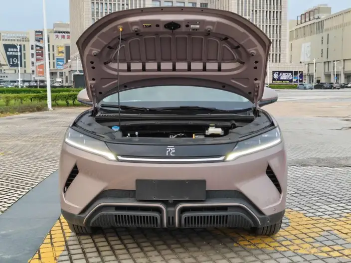 Yuan UP 2025 Model Smart Driving Edition 401KM Vitality Edition – фото 13