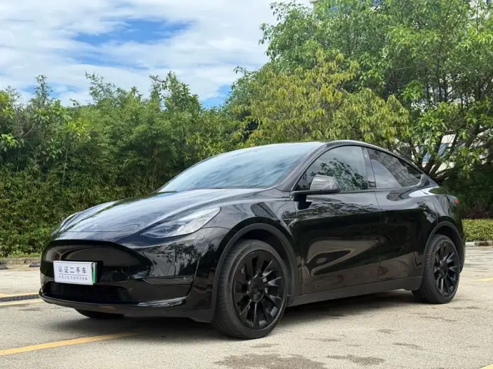 Model Y 2023 Model Long Battery Life Pro All-wheel drive version – фото 1