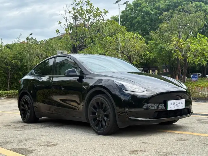 Model Y 2023 Model Long Battery Life Pro All-wheel drive version – фото 3