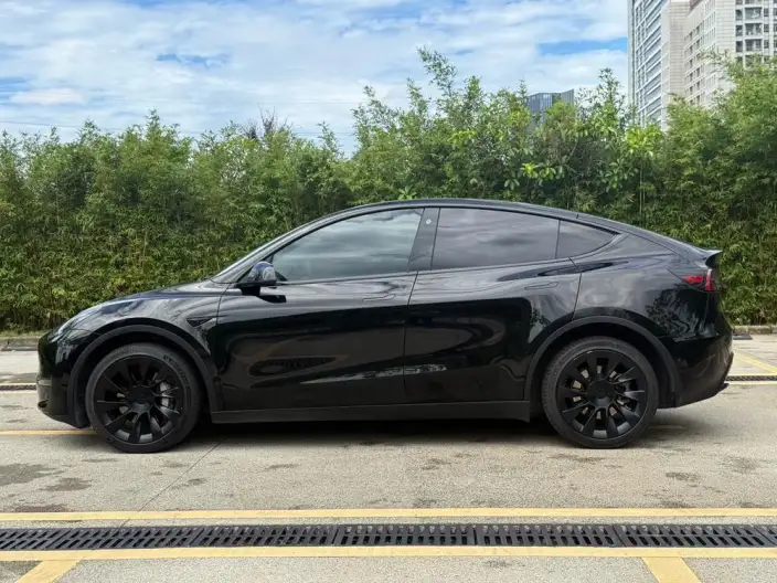 Model Y 2023 Model Long Battery Life Pro All-wheel drive version – фото 4