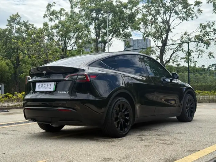 Model Y 2023 Model Long Battery Life Pro All-wheel drive version – фото 7