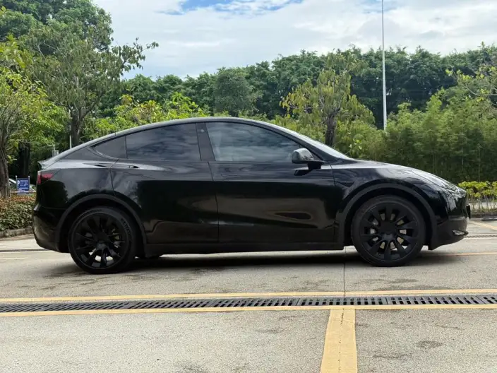 Model Y 2023 Model Long Battery Life Pro All-wheel drive version – фото 8