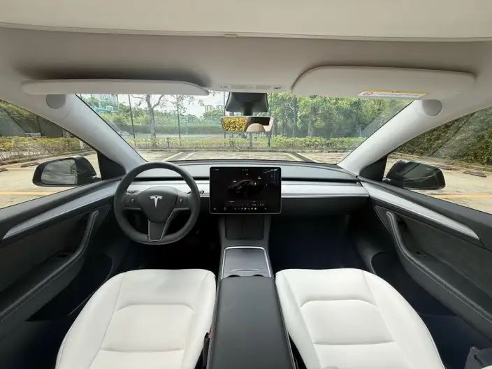 Model Y 2023 Model Long Battery Life Pro All-wheel drive version – фото 14