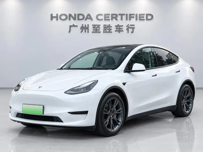 Model Y 2024 Model Rear-wheel drive version – фото 1