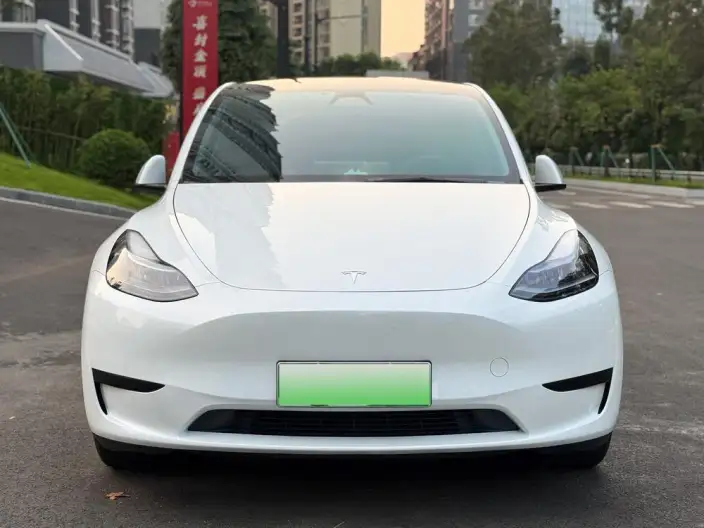 Model Y 2024 Model Rear-wheel drive version – фото 2