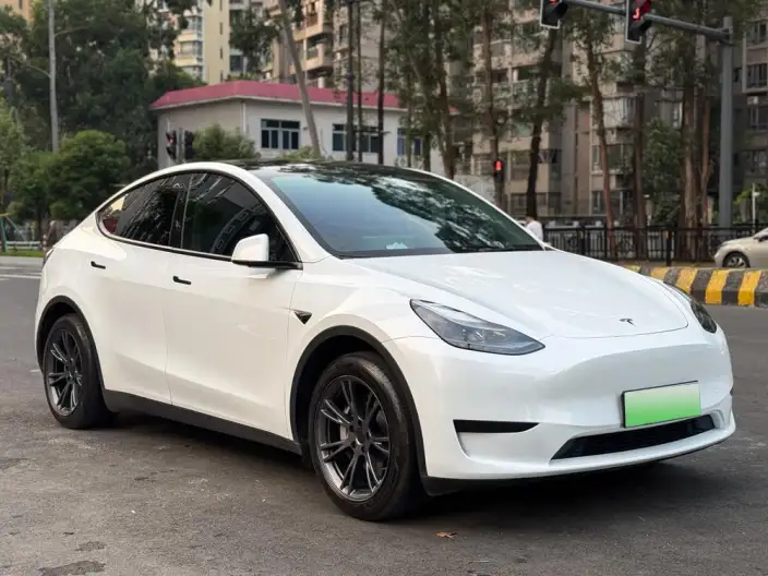 Model Y 2024 Model Rear-wheel drive version – фото 3