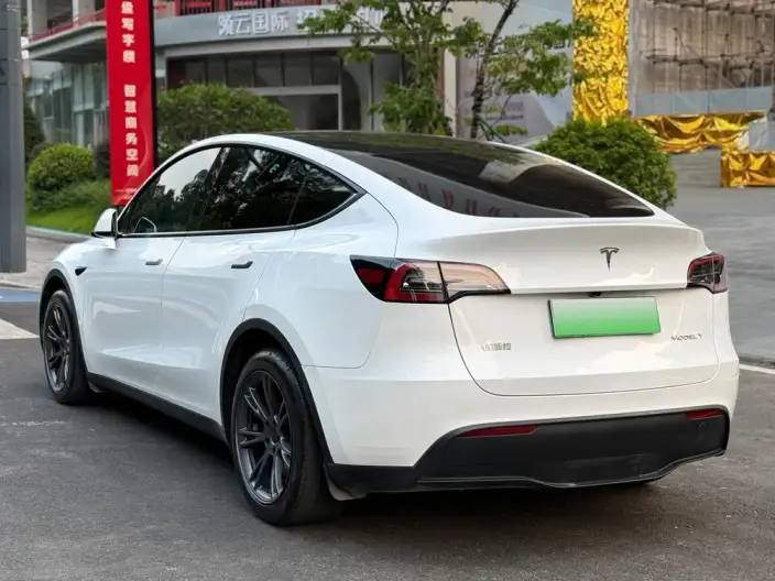 Model Y 2024 Model Rear-wheel drive version – фото 4