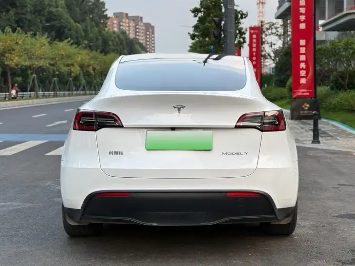 Model Y 2024 Model Rear-wheel drive version – фото 5