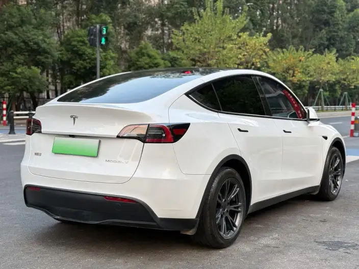 Model Y 2024 Model Rear-wheel drive version – фото 6