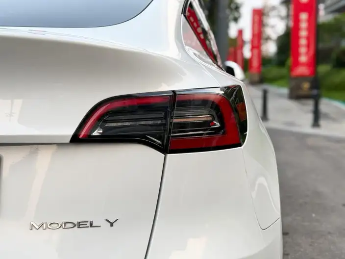 Model Y 2024 Model Rear-wheel drive version – фото 9
