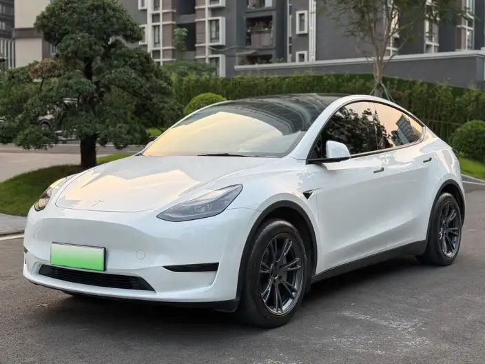 Model Y 2024 Model Rear-wheel drive version – фото 21
