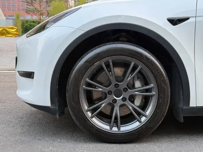 Model Y 2024 Model Rear-wheel drive version – фото 22