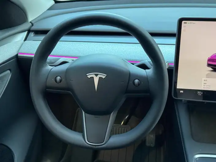 Model Y 2024 Model Rear-wheel drive version – фото 24