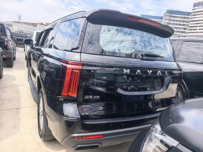 Haval H5 2023 Model 2.0T Diesel Ling Innovation Automatic 4WD – фото 3