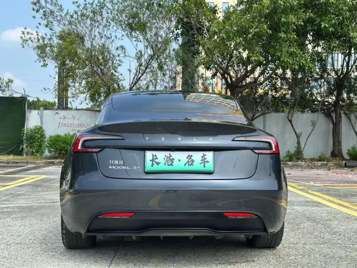 Model 3 2023 Model Long Battery Life Pro All-wheel drive version – фото 5