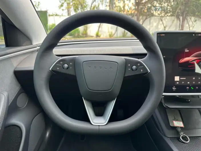 Model 3 2023 Model Long Battery Life Pro All-wheel drive version – фото 10