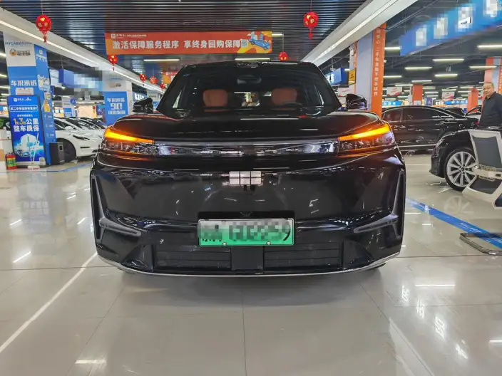 Geely M9 2025 Model 210km 4WD Pilot Edition – фото 6