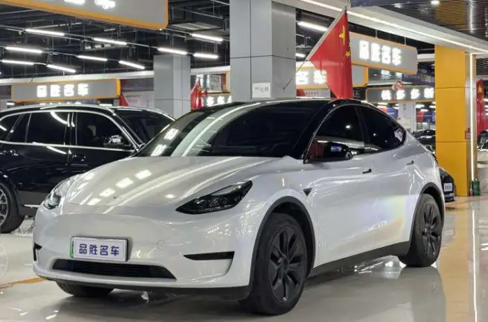 Model Y 2023 Model Rear-wheel drive version – фото 1