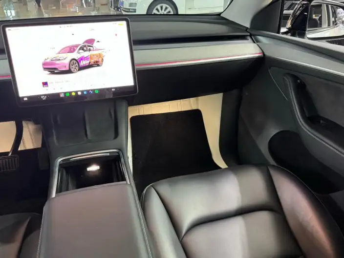 Model Y 2023 Model Rear-wheel drive version – фото 15