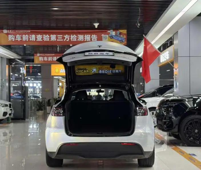 Model Y 2023 Model Rear-wheel drive version – фото 16