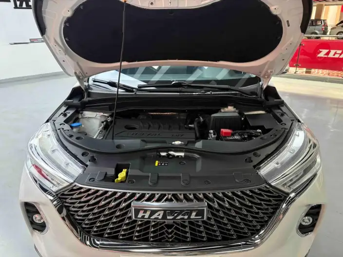 Haval M6 2021 Model PLUS 1.5T DCT Luxury Smart Connect Model – фото 10