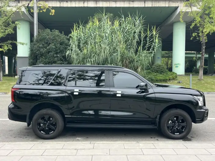 Haval H5 2025 Model 2.0T Diesel Pilot Automatic 4WD – фото 8