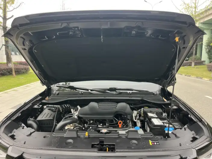Haval H5 2025 Model 2.0T Diesel Pilot Automatic 4WD – фото 9
