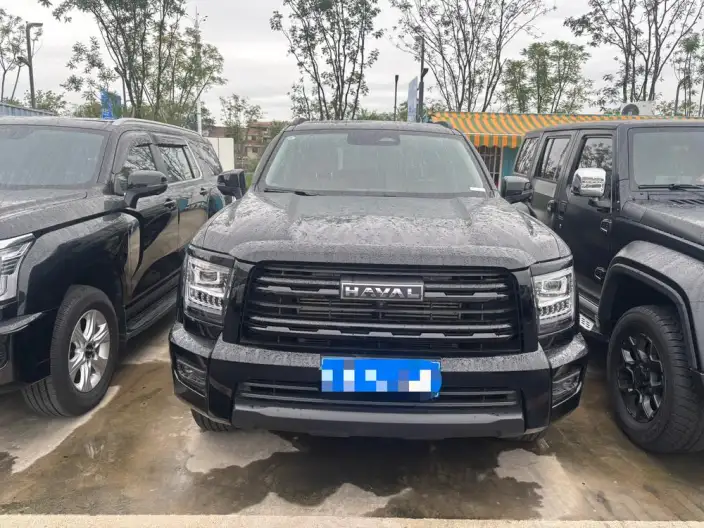 Haval H5 2025 Model 2.0T Diesel Pilot Automatic 4WD – фото 2