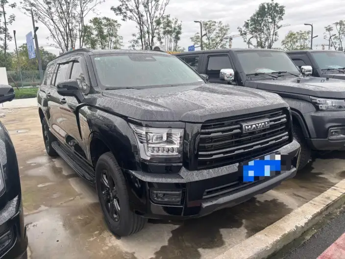Haval H5 2025 Model 2.0T Diesel Pilot Automatic 4WD – фото 3